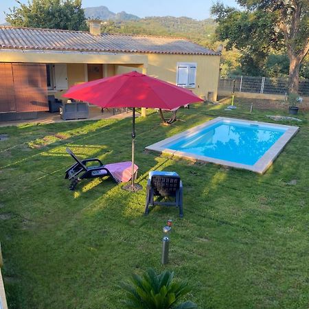 Agreable Rez De Jardin Avec Piscine Et Jacuzzi Daire Cervione Dış mekan fotoğraf