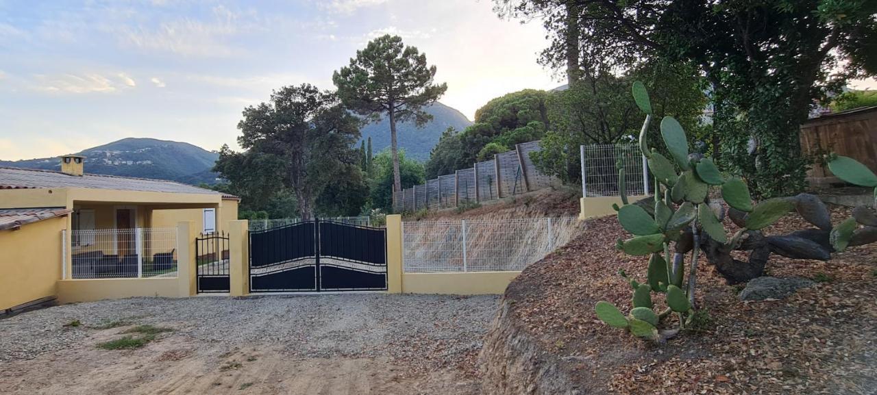 Agreable Rez De Jardin Avec Piscine Et Jacuzzi Daire Cervione Dış mekan fotoğraf